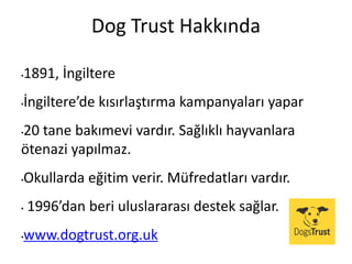 Dog Trust Hakkında
•1891, İngiltere
•İngiltere’de kısırlaştırma kampanyaları yapar
•20 tane bakımevi vardır. Sağlıklı hayvanlara
ötenazi yapılmaz.
•Okullarda eğitim verir. Müfredatları vardır.
• 1996’dan beri uluslararası destek sağlar.
•www.dogtrust.org.uk
 