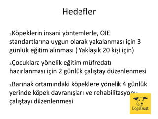 Hedefler
1.Köpeklerin insani yöntemlerle, OIE
standartlarına uygun olarak yakalanması için 3
günlük eğitim alınması ( Yaklaşık 20 kişi için)
2.Çocuklara yönelik eğitim müfredatı
hazırlanması için 2 günlük çalıştay düzenlenmesi
3.Barınak ortamındaki köpeklere yönelik 4 günlük
yerinde köpek davranışları ve rehabilitasyonu
çalıştayı düzenlenmesi
 