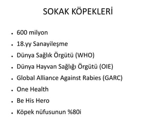 SOKAK KÖPEKLERİ
● 600 milyon
● 18.yy Sanayileşme
● Dünya Sağlık Örgütü (WHO)
● Dünya Hayvan Sağlığı Örgütü (OIE)
● Global Alliance Against Rabies (GARC)
● One Health
● Be His Hero
● Köpek nüfusunun %80i
 