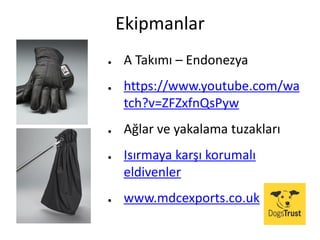 Ekipmanlar
● A Takımı – Endonezya
● https://www.youtube.com/wa
tch?v=ZFZxfnQsPyw
● Ağlar ve yakalama tuzakları
● Isırmaya karşı korumalı
eldivenler
● www.mdcexports.co.uk
 
