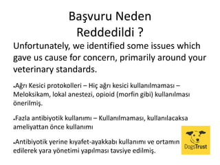 Başvuru Neden
Reddedildi ?
Unfortunately, we identified some issues which
gave us cause for concern, primarily around your
veterinary standards.
●Ağrı Kesici protokolleri – Hiç ağrı kesici kullanılmaması –
Meloksikam, lokal anestezi, opioid (morfin gibi) kullanılması
önerilmiş.
●Fazla antibiyotik kullanımı – Kullanılmaması, kullanılacaksa
ameliyattan önce kullanımı
●Antibiyotik yerine kıyafet-ayakkabı kullanımı ve ortamın sterilize
edilerek yara yönetimi yapılması tavsiye edilmiş.
 