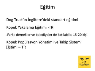 Eğitim
•Dog Trust’ın İngiltere’deki standart eğitimi
•Köpek Yakalama Eğitimi -TR
–Farklı dernekler ve belediyeler de katılabilir. 15-20 kişi
•Köpek Popülasyon Yönetimi ve Takip Sistemi
Eğitimi – TR
 
