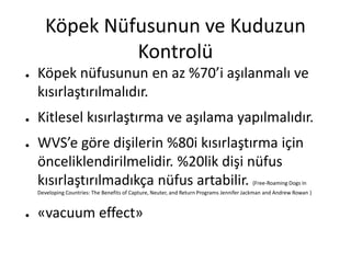 Köpek Nüfusunun ve Kuduzun
Kontrolü
● Köpek nüfusunun en az %70’i aşılanmalı ve
kısırlaştırılmalıdır.
● Kitlesel kısırlaştırma ve aşılama yapılmalıdır.
● WVS’e göre dişilerin %80i kısırlaştırma için
önceliklendirilmelidir. %20lik dişi nüfus
kısırlaştırılmadıkça nüfus artabilir. (Free-Roaming Dogs in
Developing Countries: The Benefits of Capture, Neuter, and Return Programs Jennifer Jackman and Andrew Rowan )
● «vacuum effect»
 