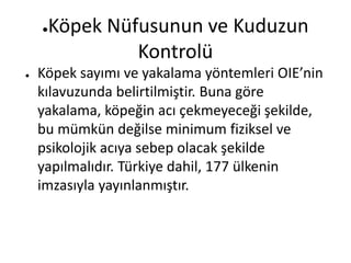 ●Köpek Nüfusunun ve Kuduzun
Kontrolü
● Köpek sayımı ve yakalama yöntemleri OIE’nin
kılavuzunda belirtilmiştir. Buna göre
yakalama, köpeğin acı çekmeyeceği şekilde,
bu mümkün değilse minimum fiziksel ve
psikolojik acıya sebep olacak şekilde
yapılmalıdır. Türkiye dahil, 177 ülkenin
imzasıyla yayınlanmıştır.
 