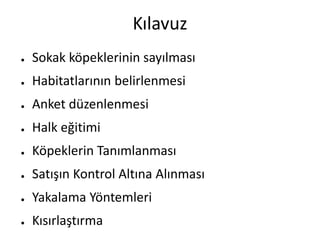 Kılavuz
● Sokak köpeklerinin sayılması
● Habitatlarının belirlenmesi
● Anket düzenlenmesi
● Halk eğitimi
● Köpeklerin Tanımlanması
● Satışın Kontrol Altına Alınması
● Yakalama Yöntemleri
● Kısırlaştırma
 