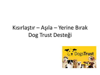Kısırlaştır – Aşıla – Yerine Bırak
Dog Trust Desteği
 