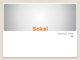 Sokal
Panchuk Yuliia
8B
 