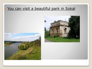  You can visit a beautiful park in Sokal
 