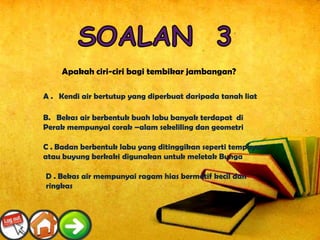 Apakah ciri-ciri bagi tembikar jambangan?

A . Kendi air bertutup yang diperbuat daripada tanah liat

B. Bekas air berbentuk buah labu banyak terdapat di
Perak mempunyai corak –alam sekeliling dan geometri

C . Badan berbentuk labu yang ditinggikan seperti tempayan
atau buyung berkaki digunakan untuk meletak Bunga

D . Bekas air mempunyai ragam hias bermotif kecil dan
ringkas
 