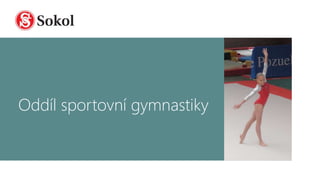 Oddíl sportovní gymnastiky
 