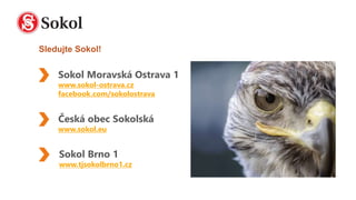 Sokol Brno 1
www.tjsokolbrno1.cz
Sokol Moravská Ostrava 1
www.sokol-ostrava.cz
facebook.com/sokolostrava
Česká obec Sokolská
www.sokol.eu
Sledujte Sokol!
 