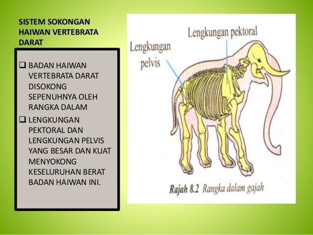 Sokongan dan gerakan Tingkatan Dua