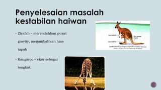  Zirafah – merendahkan pusat
gravity, menambahkan luas
tapak
 Kangaroo – ekor sebagai
tongkat.
 