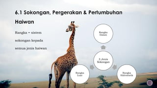 Rangka = sistem
sokongan kepada
semua jenis haiwan
3 Jenis
Sokongan
Rangka
Dalam
Rangka
Hidrostatik
Rangka
Luar
 
