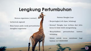 Semua organisma ( normal )
 berbentuk sigmoid
 Beza hanya pada corak pertumbuhan
mengikut organisma
Haiwan Rangka Luar
 Berperingkat (cth lipas, belalang)
 Kerana? Rangka luar terbina dari kitin
keras & tidak boleh mengembang
 Menyebabkan pertumbuhan haiwan
terhalang
 Solusi untuk terus membesar bagi
haiwan ini? EKSIDISIS
 