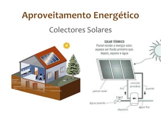 Aproveitamento EnergéticoColectores Solares