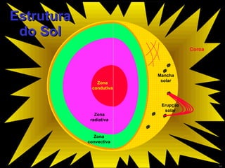Estrutura do Sol Coroa Zona condutiva Zona radiativa Zona convectiva Mancha solar Erupção solar 