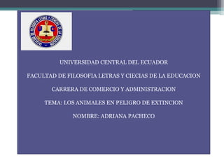 UNIVERSIDAD CENTRAL DEL ECUADOR
FACULTAD DE FILOSOFIA LETRAS Y CIECIAS DE LA EDUCACION
CARRERA DE COMERCIO Y ADMINISTRACION
TEMA: LOS ANIMALES EN PELIGRO DE EXTINCION
NOMBRE: ADRIANA PACHECO
 