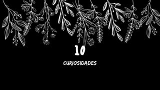 10
Curiosidades
 