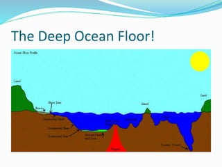 The Deep Ocean Floor!
 