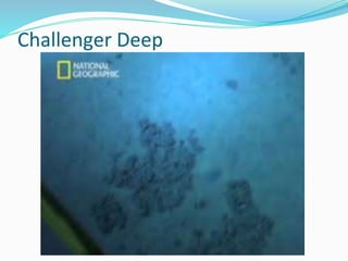 Challenger Deep
 