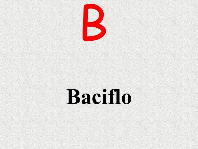 name brand bookbolsa purse