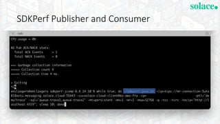 SDKPerf Publisher and Consumer
 