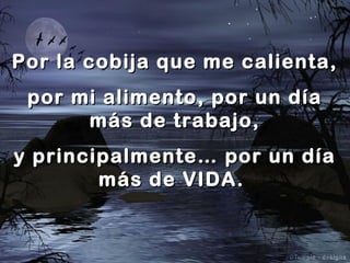 Por la cobija que me calienta,
por mi alimento, por un día
más de trabajo,
y principalmente… por un día
más de VIDA.