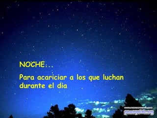 NOCHE... Para acariciar a los que luchan durante el dia 