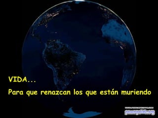 VIDA... Para que renazcan los que están muriendo 