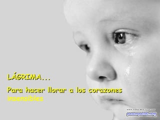 LÁGRIMA... Para hacer llorar a los corazones  insensibles 