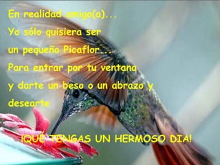 En realidad amigo(a)... Yo sólo quisiera ser un pequeño Picaflor... Para entrar por tu ventana y darte un beso o un abrazo y desearte ¡QUÉ TENGAS UN HERMOSO DIA!