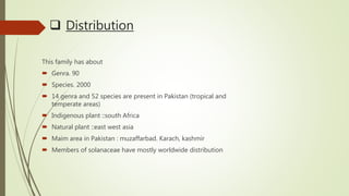  Distribution
This family has about
 Genra. 90
 Species. 2000
 14 genra and 52 species are present in Pakistan (tropical and
temperate areas)
 Indigenous plant ::south Africa
 Natural plant ::east west asia
 Maim area in Pakistan : muzaffarbad. Karach, kashmir
 Members of solanaceae have mostly worldwide distribution
 