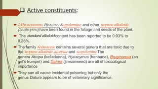  Active constituents:
 L.Hyoscyamine, Hyocine , Scopolamine, and other tropane alkaloids
(i.e,atropine) have been found in the foliage and seeds of the plant.
 The standard alkaloid content has been reported to be 0.03% to
0.28%.
 The family Solanaceae contains several genera that are toxic due to
the tropane alkaloids ,atropine and scopolamine.The
genera Atropa (belladonna), Hyoscymus (henbane), Brugmansia (an
gel's trumpet) and Datura (jimsonweed) are all of toxicological
importance
 They can all cause incidental poisoning but only the
genus Datura appears to be of veterinary significance.
 
