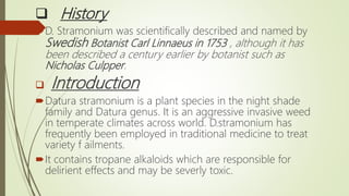  History
D. Stramonium was scientifically described and named by
Swedish Botanist Carl Linnaeus in 1753 , although it has
been described a century earlier by botanist such as
Nicholas Culpper.
 Introduction
Datura stramonium is a plant species in the night shade
family and Datura genus. It is an aggressive invasive weed
in temperate climates across world. D.stramonium has
frequently been employed in traditional medicine to treat
variety f ailments.
It contains tropane alkaloids which are responsible for
delirient effects and may be severly toxic.
 
