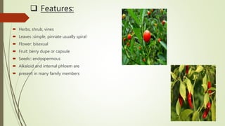  Features:
 Herbs, shrub, vines
 Leaves :simple, pinnate usually spiral
 Flower: bisexual
 Fruit: berry dupe or capsule
 Seeds:: endospermous
 Alkaloid and internal phloem are
 present in many family members
 