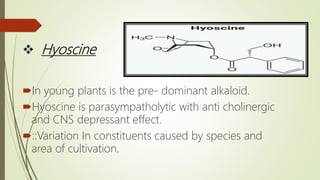  Hyoscine
In young plants is the pre- dominant alkaloid.
Hyoscine is parasympatholytic with anti cholinergic
and CNS depressant effect.
::Variation In constituents caused by species and
area of cultivation.
 