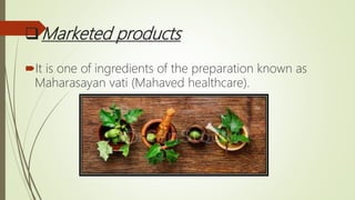 Marketed products
It is one of ingredients of the preparation known as
Maharasayan vati (Mahaved healthcare).
 