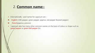 2. Common name:-
 Internationally used names for capsicum are :-
 English( chilli pepper, green pepper ,paprica ,red pepper &sweet pepper)
 French(paprica, poivron)
 capsicum also has many other common names on the basis of colour or shape such as
green pepper or green bell pepper Etc.
 