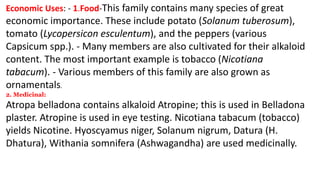 Economic Uses: - 1.Food-This family contains many species of great
economic importance. These include potato (Solanum tuberosum),
tomato (Lycopersicon esculentum), and the peppers (various
Capsicum spp.). - Many members are also cultivated for their alkaloid
content. The most important example is tobacco (Nicotiana
tabacum). - Various members of this family are also grown as
ornamentals.
2. Medicinal:
Atropa belladona contains alkaloid Atropine; this is used in Belladona
plaster. Atropine is used in eye testing. Nicotiana tabacum (tobacco)
yields Nicotine. Hyoscyamus niger, Solanum nigrum, Datura (H.
Dhatura), Withania somnifera (Ashwagandha) are used medicinally.
 