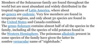 Members of the Solanaceae family are found throughout the
world but are most abundant and widely distributed in the
tropical regions of Latin America, where about
40 genera are endemic. Very few members are found in
temperate regions, and only about 50 species are found in
the United States and Canada combined.
The genus Solanum contains almost half of all the species in the
family, including all the species of wild potatoes found in
the Western Hemisphere. The poisonous alkaloids present in
some species of the family have given the latter its
sombre vernacular name of “nightshade.”
 