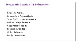 Systematic Position Of Solanaceae
• Kingdom: Plantae
• Subkingdom: Tracheobionta
• Super Division: Spermatophyta
• Division: Magnoliophyta
• Class: Magnoliopsida
• Subclass: Asteridae
• Order: Solanales
• Family: Solanaceae
 