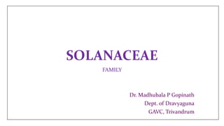 SOLANACEAE
FAMILY
Dr. Madhubala P Gopinath
Dept. of Dravyaguna
GAVC, Trivandrum
 
