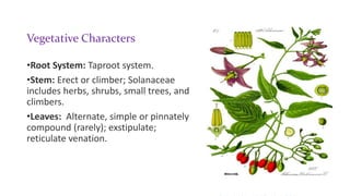 Floral characters
• Inflorescence: Racemose- terminal or axillary raceme; Cymose- solitary in
Solanum.
• Flower: Complete,...