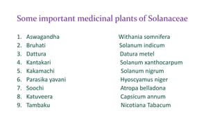 Description Of The Family (1)
• Habit: Solanaceae family contains herbs, shrubs and also some small trees.
• Root: Typical...