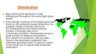  Map showing the distribution of the
Solanaceae throughout the world (light green
areas)
 Even though members of the Solanaceae are
found on all continents except Antarctica, the
greatest variety of species are found
in Central America and South America.
Centers of diversity also occur
in Australia and Africa. Solanaceae occupy a
great number of different ecosystems,
from deserts to rainforests, and are often
found in the secondary vegetation that
colonizes disturbed areas. In general, plants
in this family are of tropical and temperate
distribution.
Distribution
 