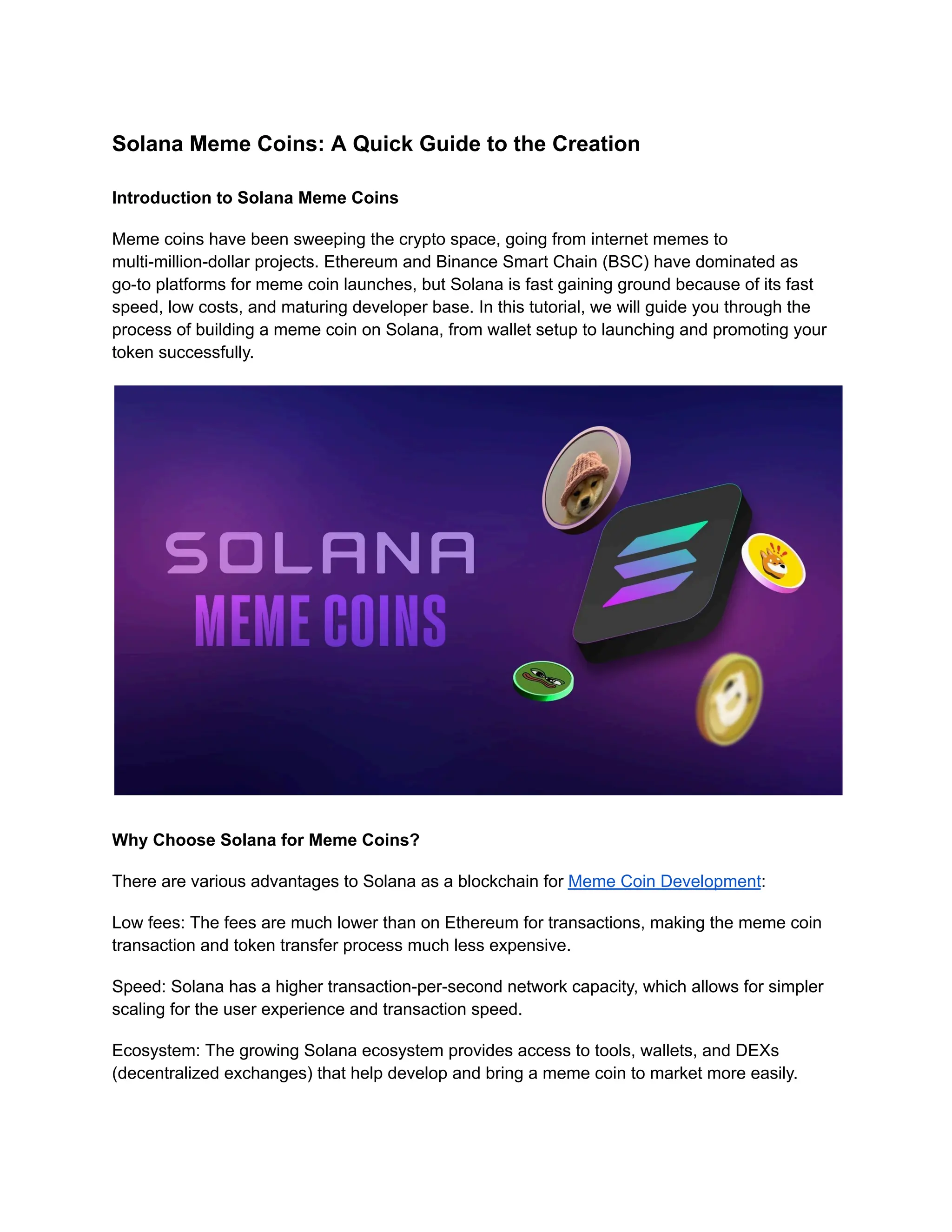 Solana Meme Coins_ A Quick Guide to the Creation.pdf