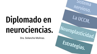 Dra. Solanche Molinas.
Diplomado en
neurociencias.
Sistema
nervioso.
La UCCM.
Neuroplasticidad.
Estrategias.
 