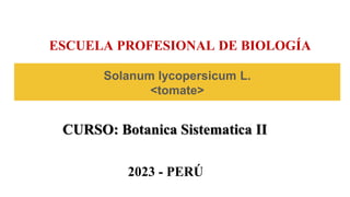 Solanum lycopersicum L.
<tomate>
ESCUELA PROFESIONAL DE BIOLOGÍA
2023 - PERÚ
CURSO: Botanica Sistematica II
 