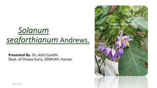 Solanum
seaforthianum Andrews.
Presented By- Dr. Aditi Gandhi
Dept. of Dravya Guna, SDMCAH, Hassan
18 June 2021 1
 